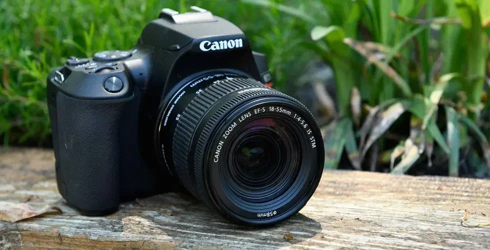 عکاسی|خدمات پذیرایی، مراسم|سنندج, |دیوار