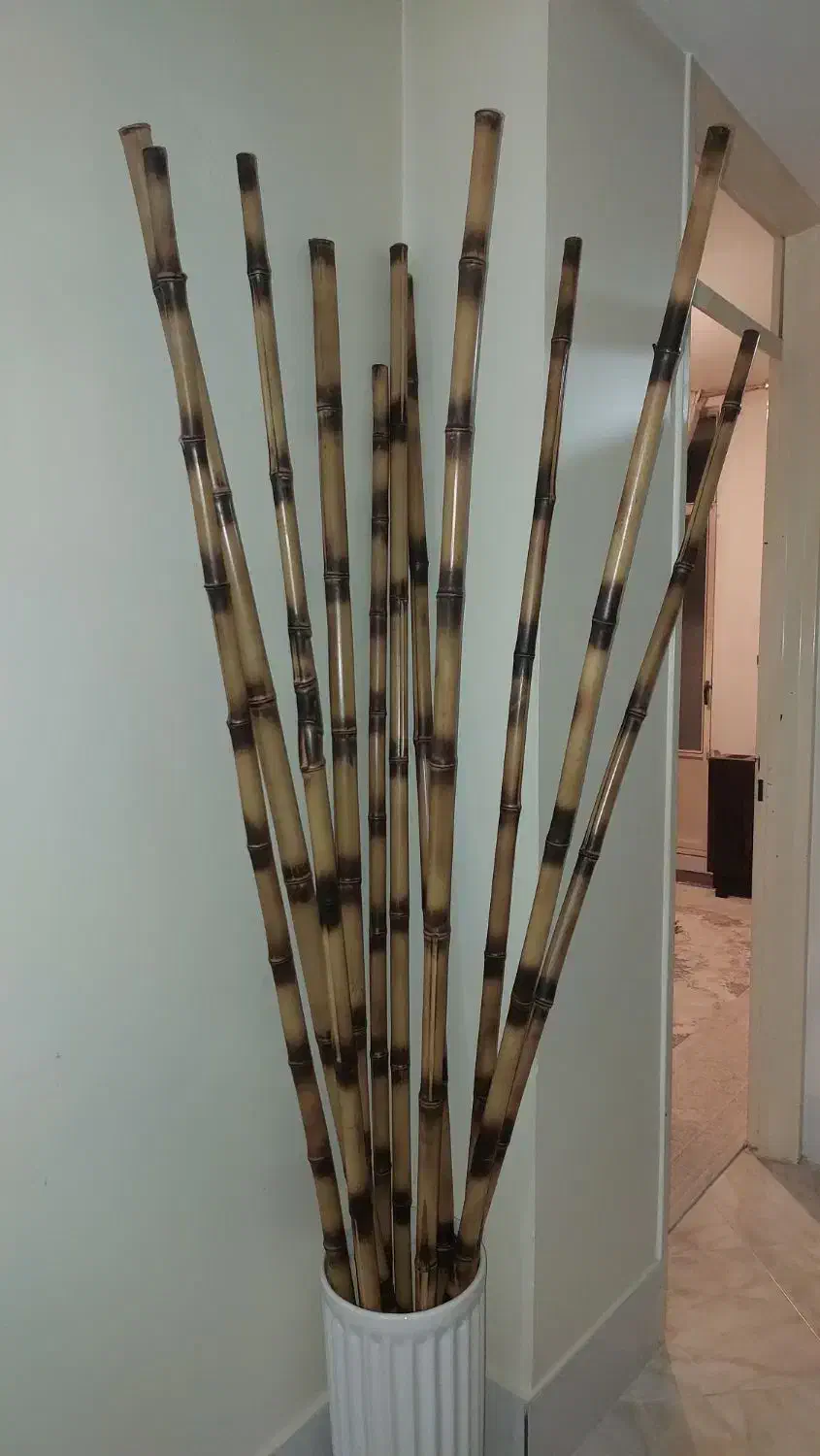 شاخه بامبو|گل مصنوعی|نظرآباد, نظرآباد|دیوار