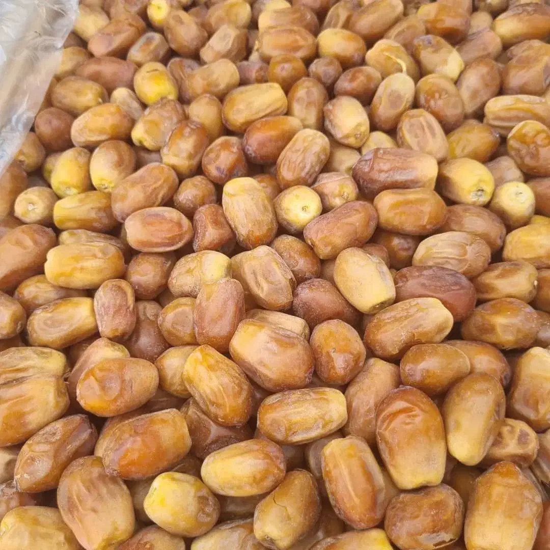 خرمای زاهدی وکبکاب پرس|عمدهفروشی|پیرانشهر, |دیوار