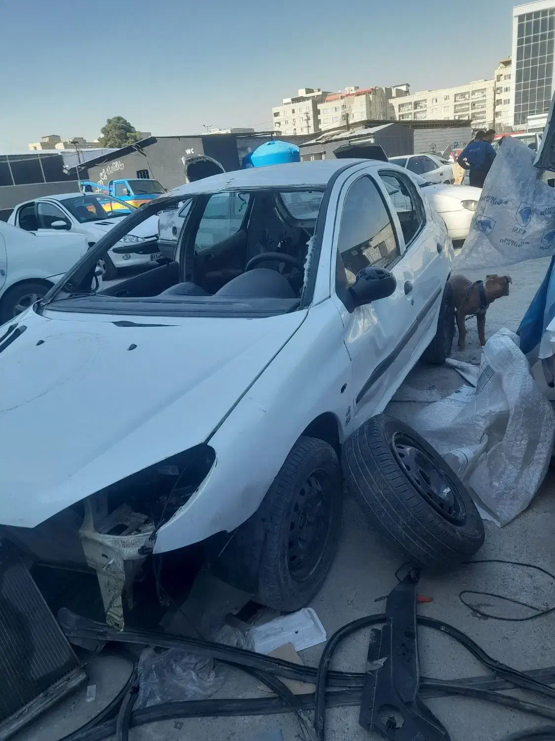 پژو ۲۰۶ مدل ۹۶|خودرو سواری و وانت|کرج, گلشهر|دیوار