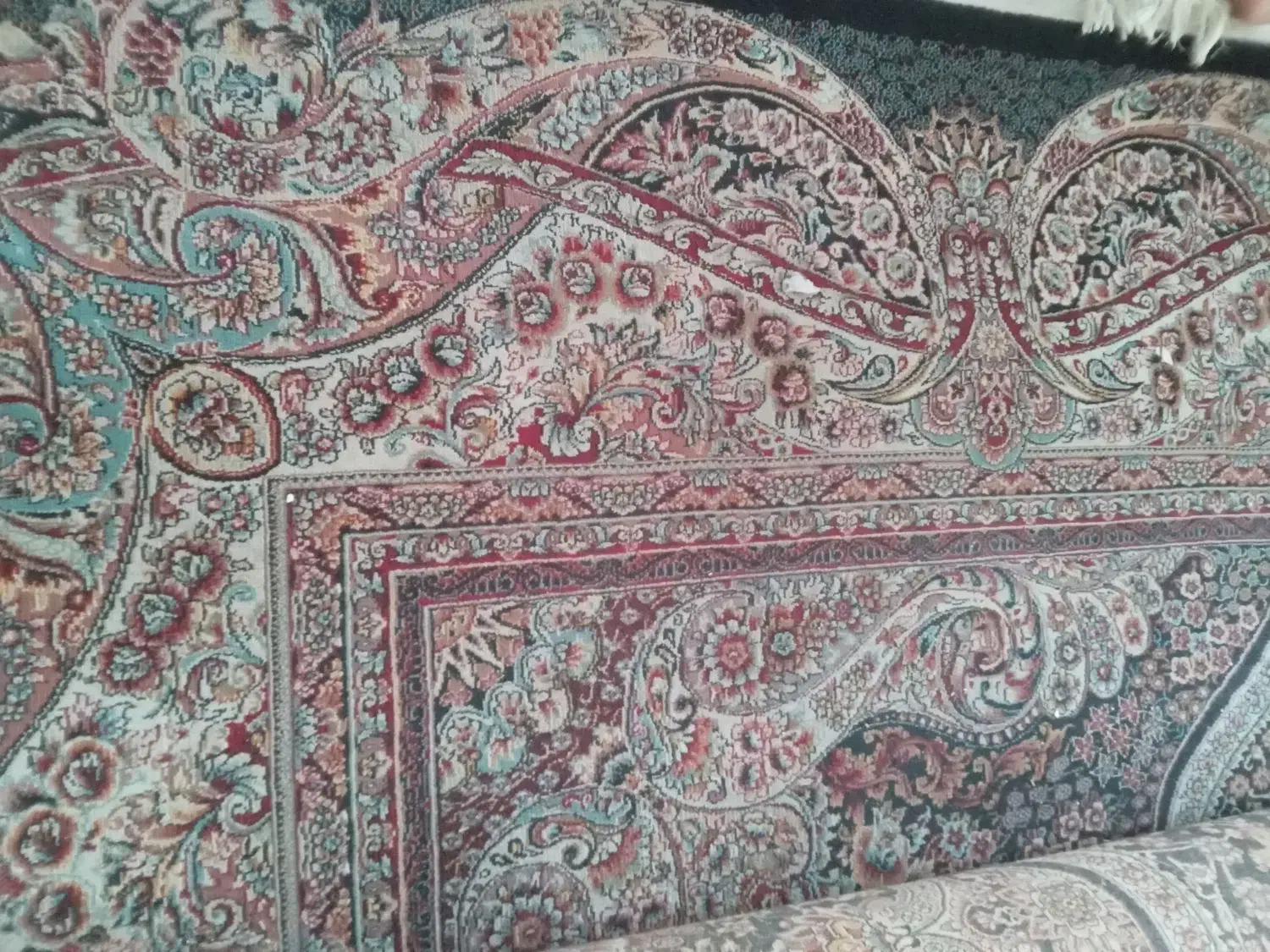 ۲تخته فرش سلیمان|فرش|بومهن, |دیوار
