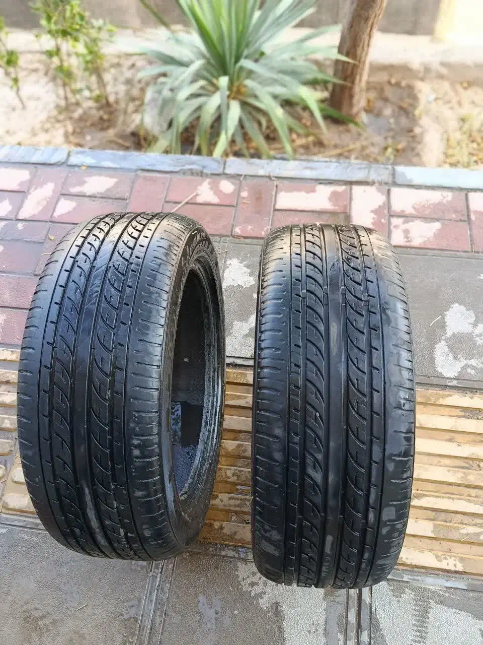 لاستیک دنا ۶۰درصد|قطعات یدکی و لوازم جانبی|سبزوار, سجاد|دیوار