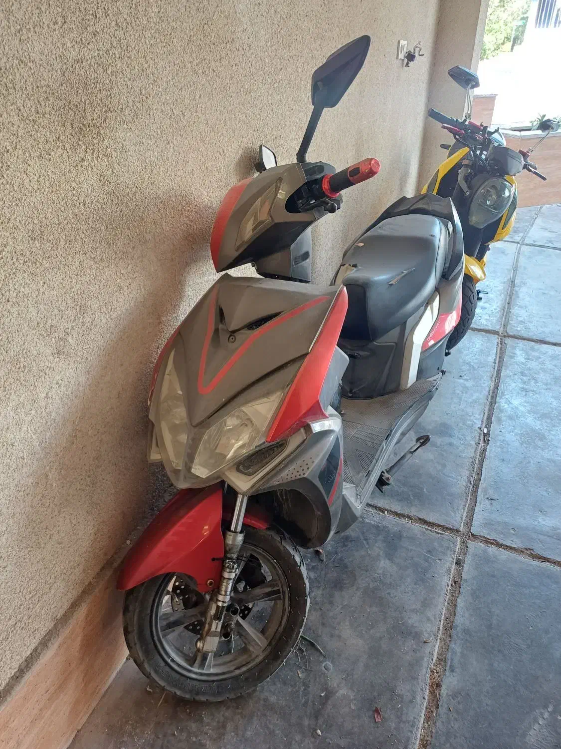 monster motor|موتورسیکلت|کیش, |دیوار