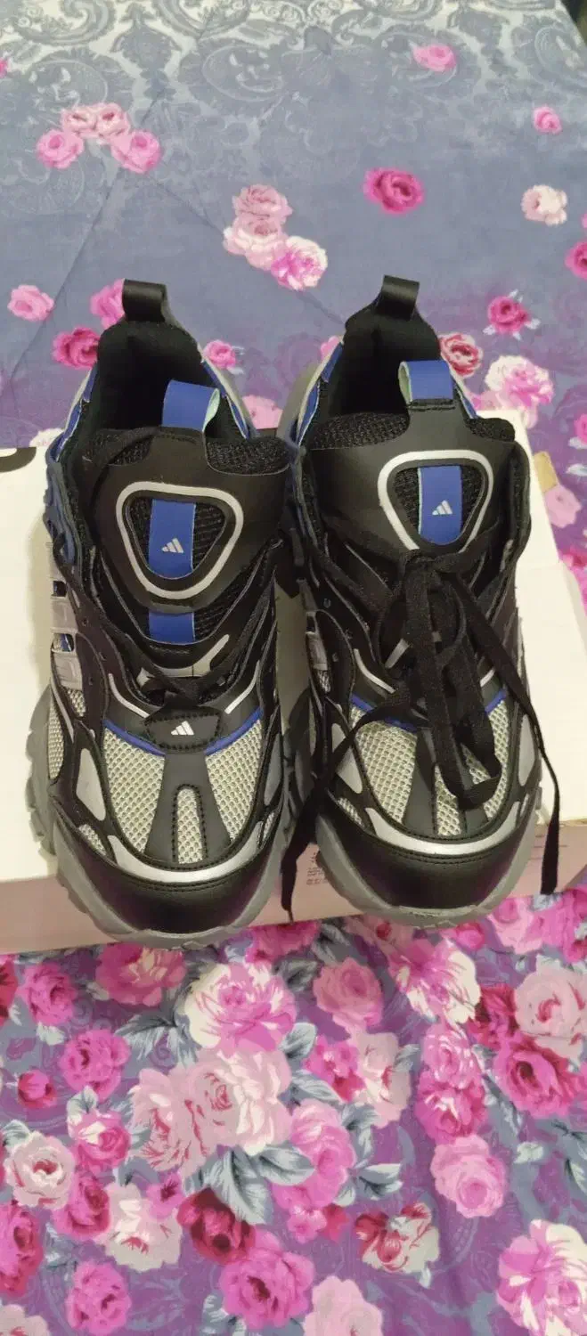 کتونی نو|کیف، کفش، کمربند|شهریار, اسد‌آباد|دیوار