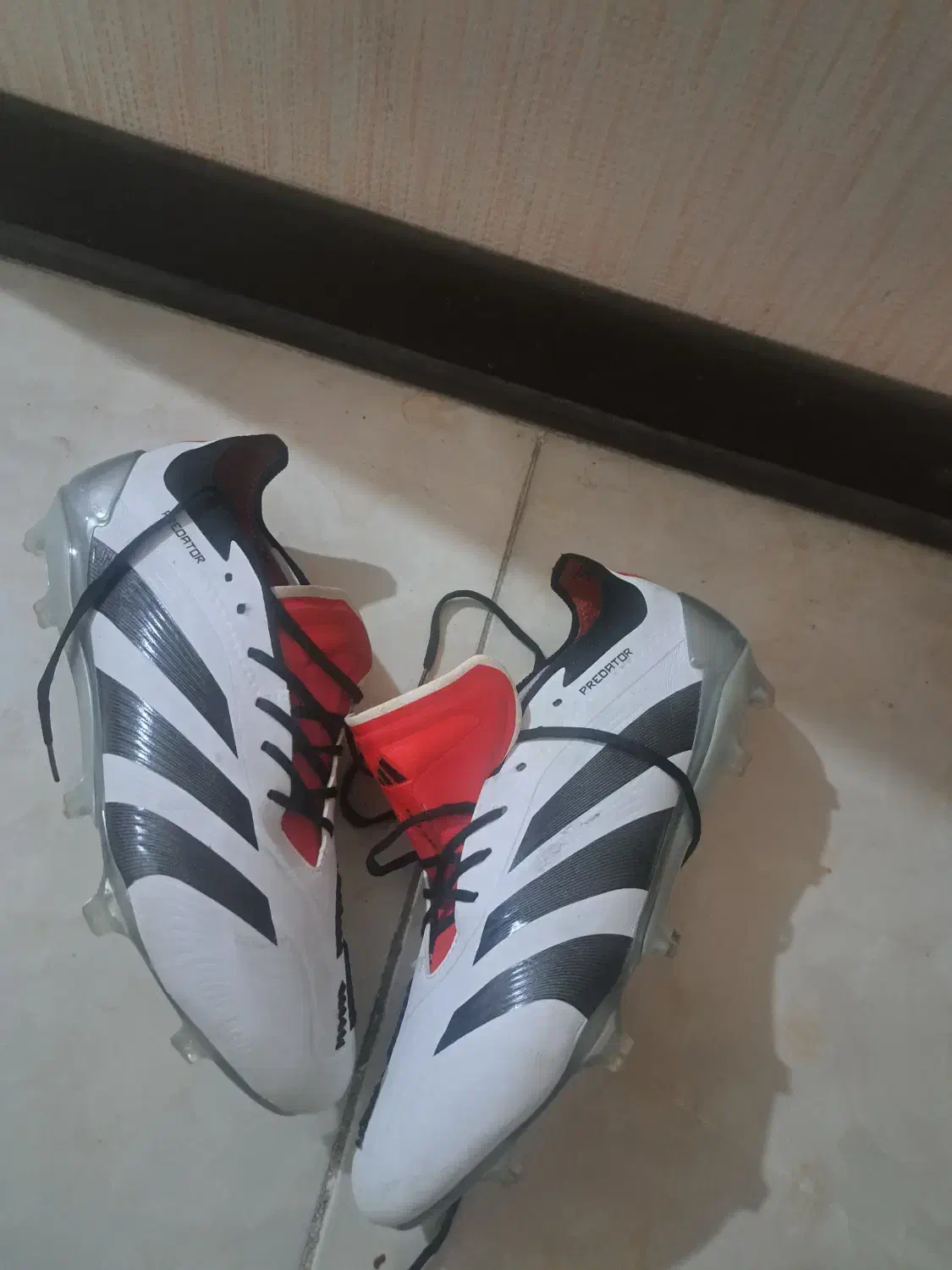 کفش فوتبال adidas predator|کیف، کفش، کمربند|شیراز, شهرک سراج‎|دیوار