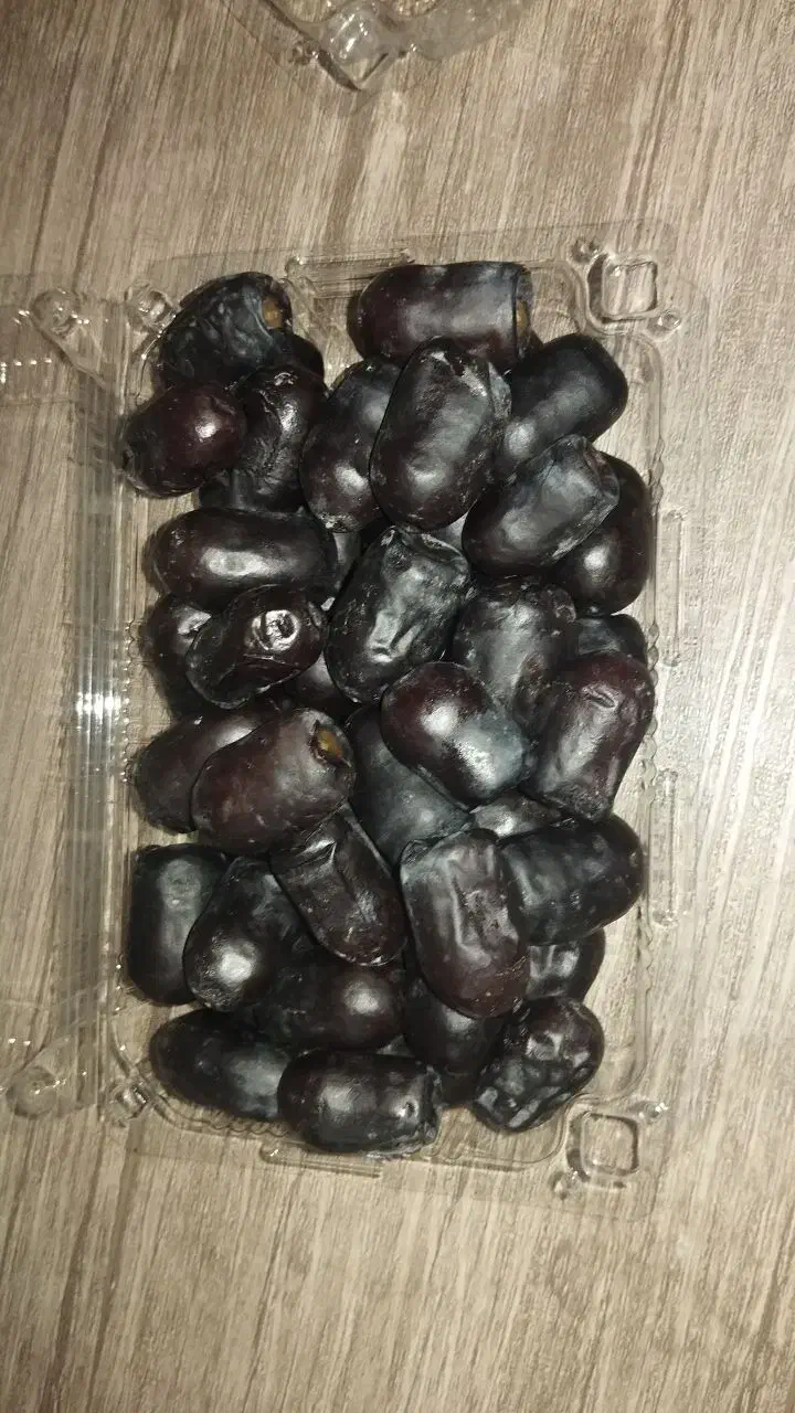 خرما|خوردنی و آشامیدنی|مشهد, موسوی قوچانی|دیوار