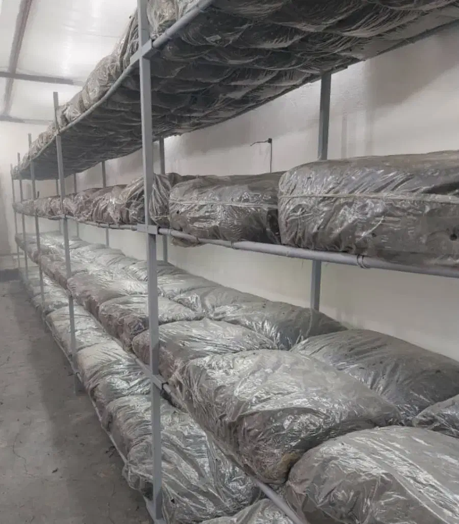 کارگر ساده با جای خواب|استخدام خدمات فروشگاه و رستوران|نوشهر, |دیوار