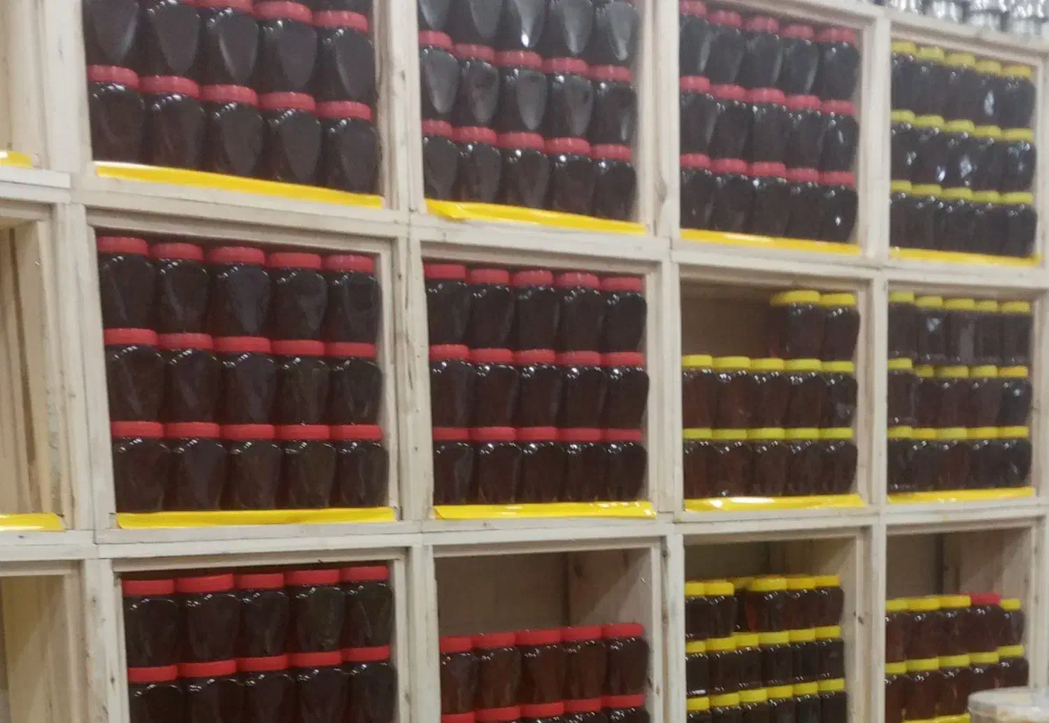 پخش عسل|فعالیت داوطلبانه تحقیقاتی|همدان, |دیوار