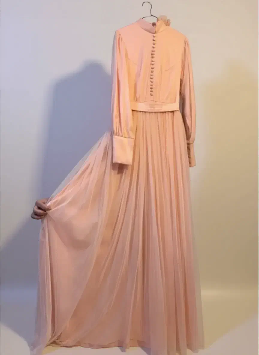 لباس مجلسی|لباس|ساری, |دیوار