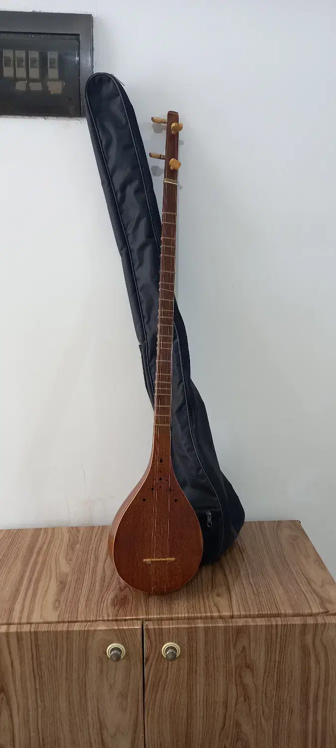 سه تار|سازهای سنتی|دهلران, |دیوار