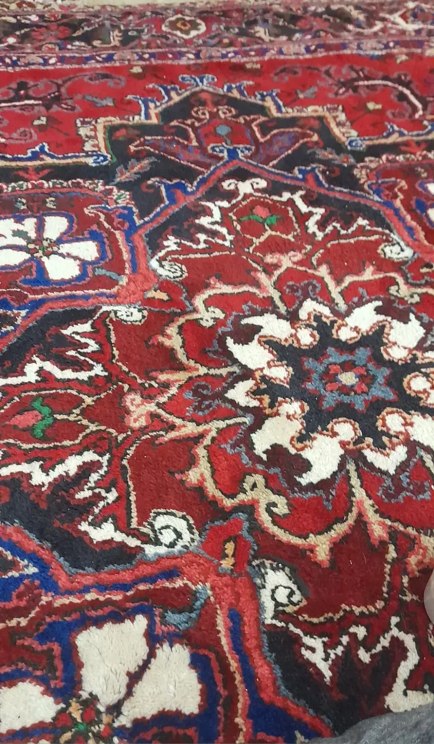 فرش نه متری تاجری|فرش|اهر, |دیوار