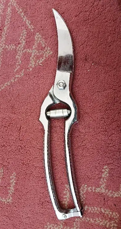 قیچی WMF|ابزارآلات|بجنورد, |دیوار