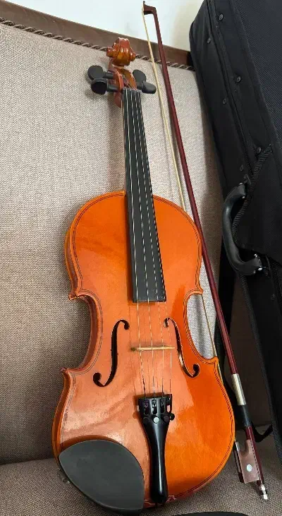 ویولن TF تی اف ۱۴۲ ۴/۴|ویولن|گرگان, |دیوار