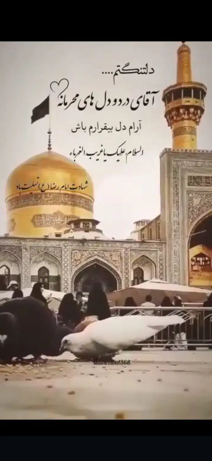 مشهد با قطار|تور و چارتر|قم, کلهری|دیوار