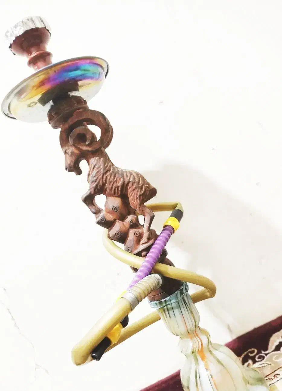 قلیون پرتقال نعناع ۳ساله راه افتاده حرفه ایی|کلکسیون و سرگرمی|قم, دروازه ری|دیوار