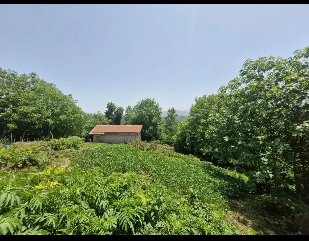 ویلا نیمه ساخت دارای امتیاز آب برق|فروش خانه و ویلا|اطاقور, |دیوار