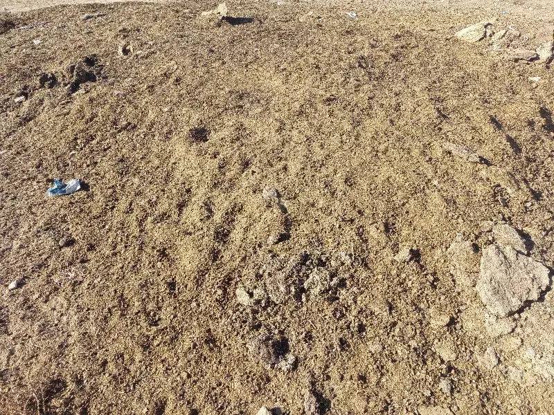 کود|لوازم جانبی حیوانات|قوچان, |دیوار