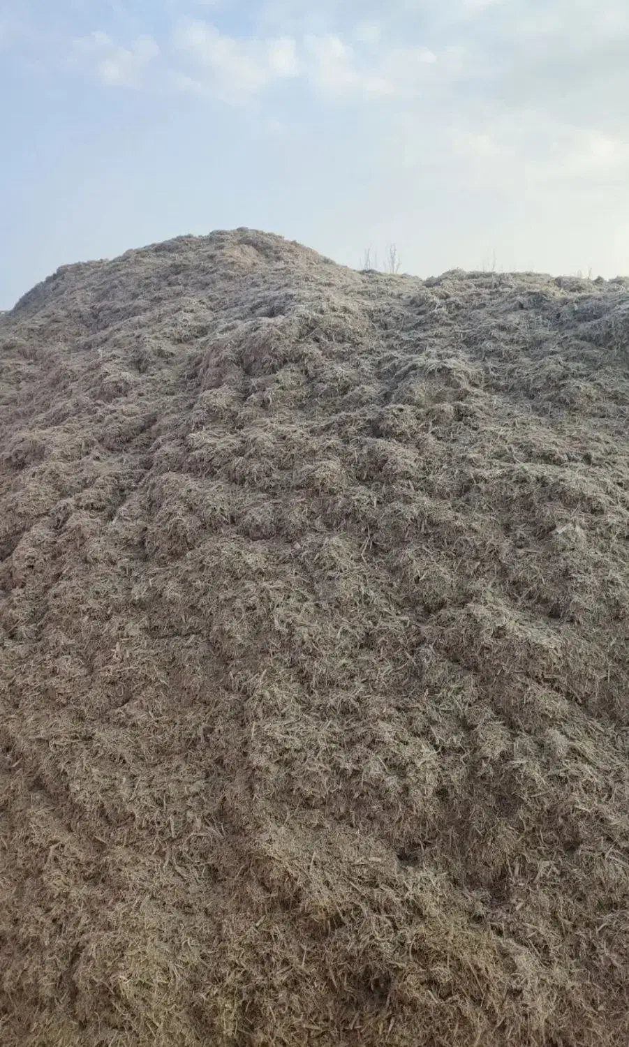 کاه نیشکر|عمده‌فروشی|میاندوآب, |دیوار