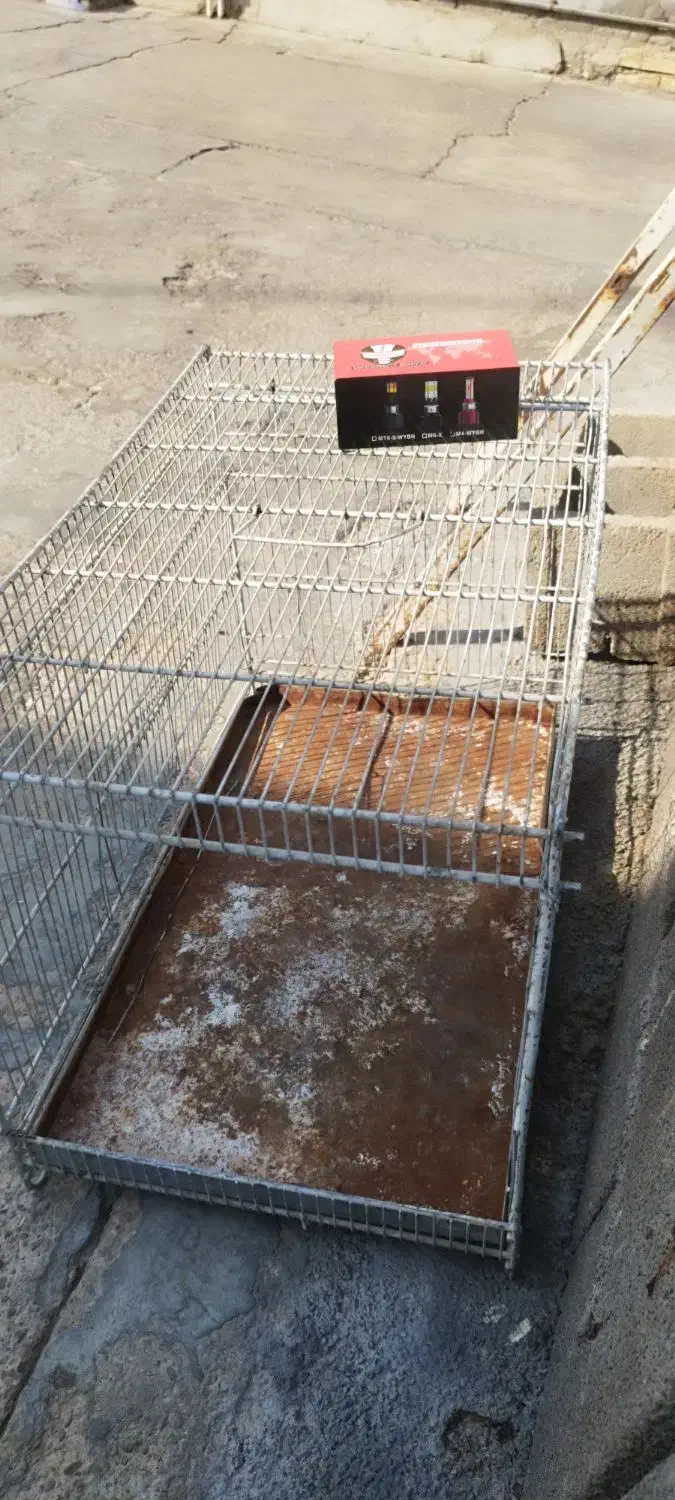 قفس|لوازم جانبی حیوانات|امیدیه, |دیوار