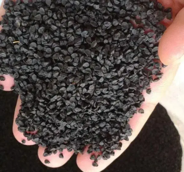 بذر پیاز قرمز دستگیر تضمینی|گل و گیاه طبیعی|جره و بالاده, |دیوار