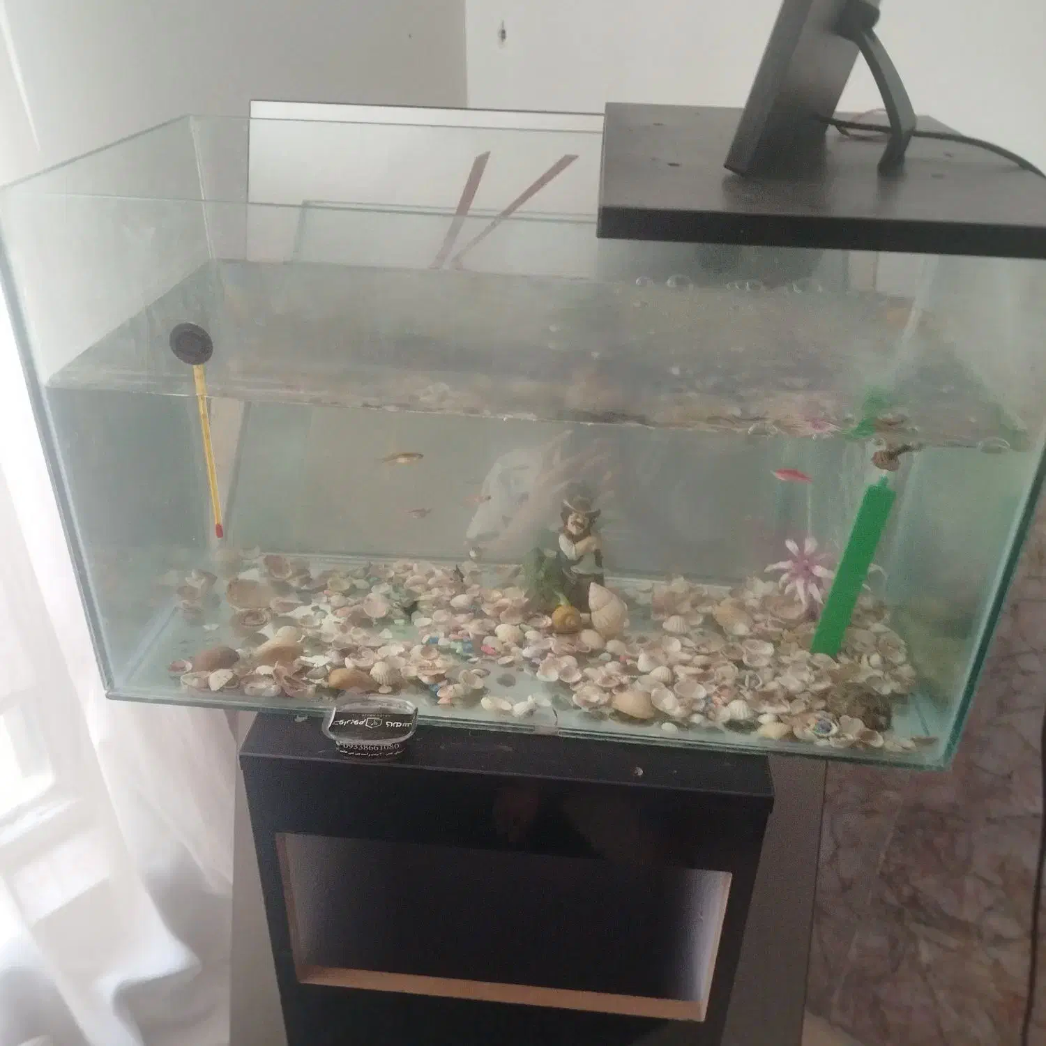 اکواریوم ۶ میل|ماهی|مشهد, هفده شهریور|دیوار