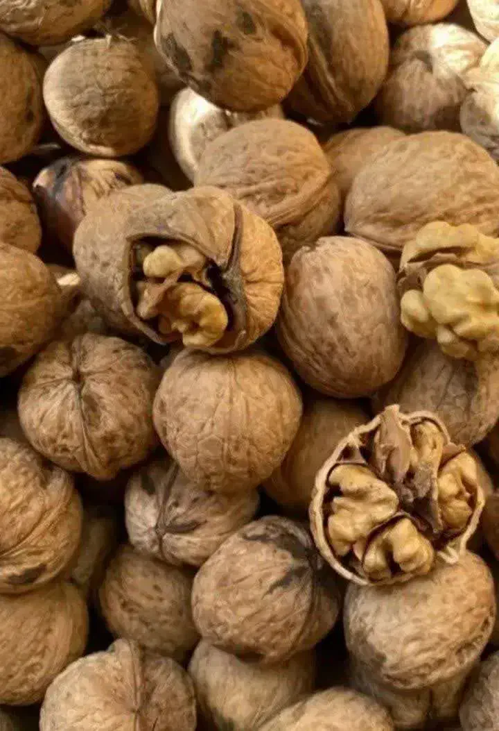 قئمت شکن|صوتی و تصویری|پاکدشت, پاکدشت (مامازند)|دیوار