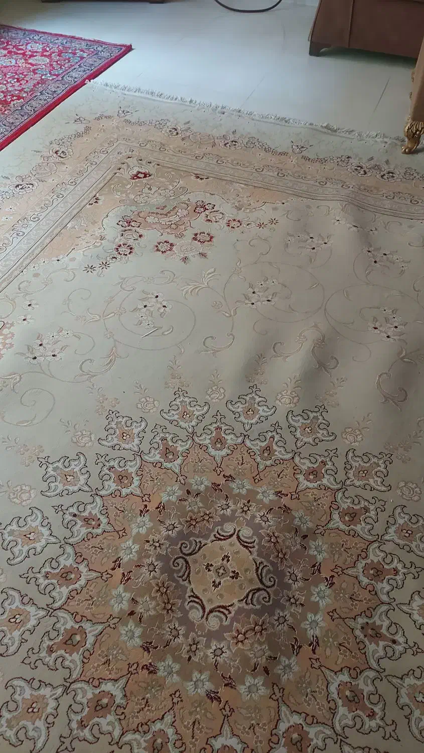 فرش ۱۲ متری تمیز|فرش|اصفهان, جلالیه|دیوار