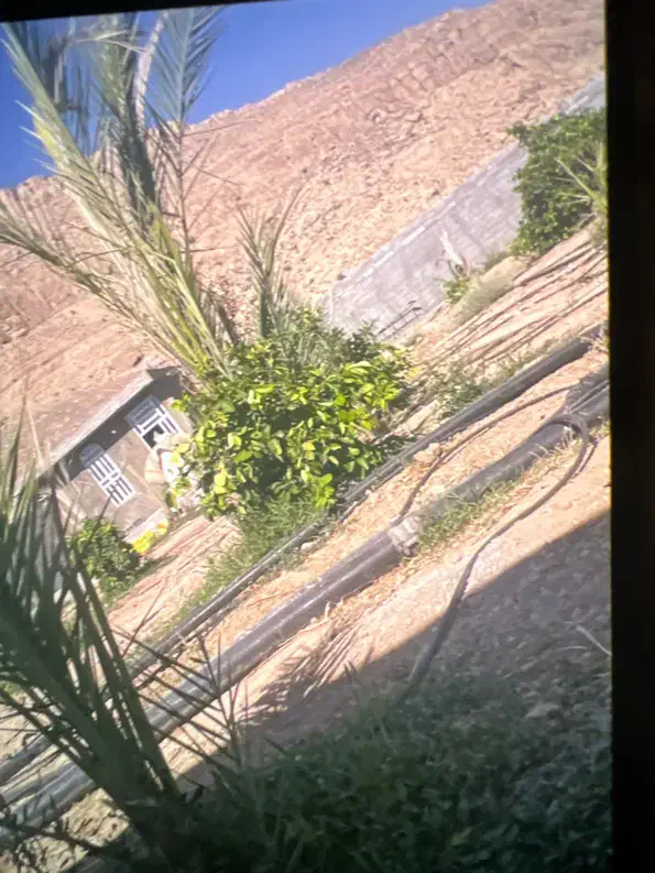 فروش1/600متر باغ شهری|فروش زمین و ملک کلنگی|داراب, |دیوار