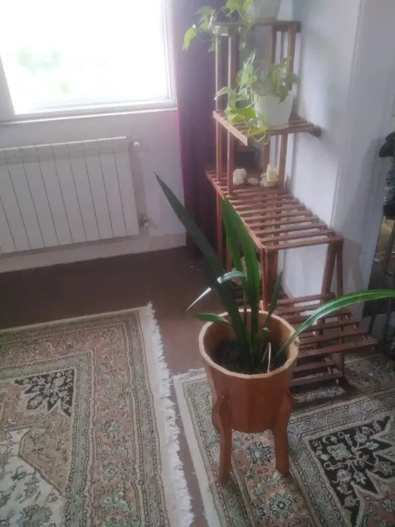 استند|صنایع دستی و سایر لوازم تزئینی|رشت, کوی مهر|دیوار