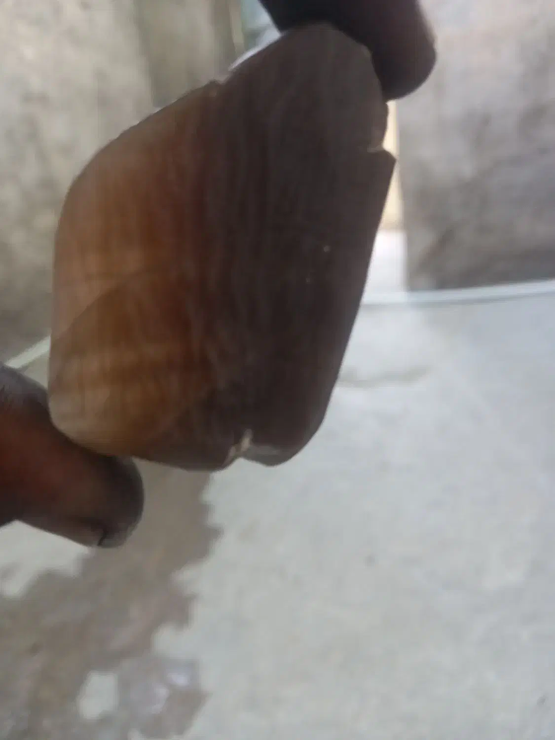 سنگ قیمتی عقیق|کلکسیون و سرگرمی|مرودشت, نقش رستم|دیوار