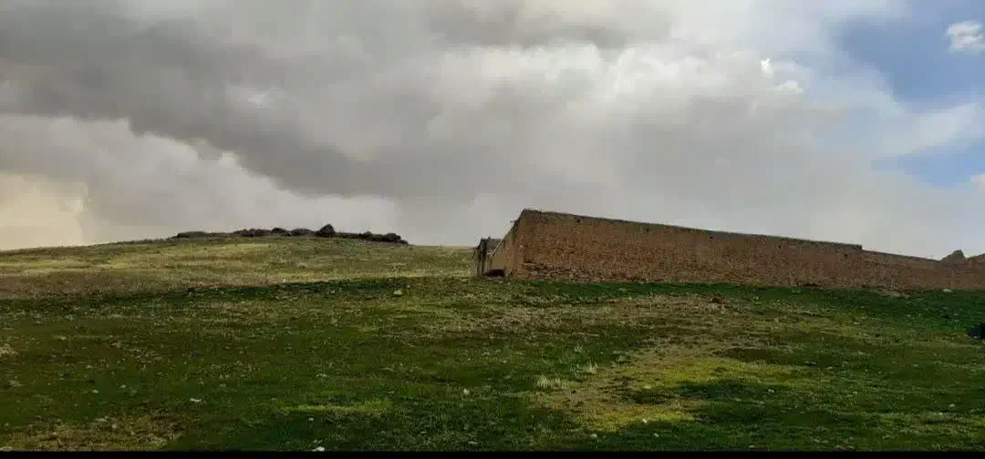 دامداری و گاودادی|فروش دفتر صنعتی، کشاورزی، تجاری|قروه, |دیوار