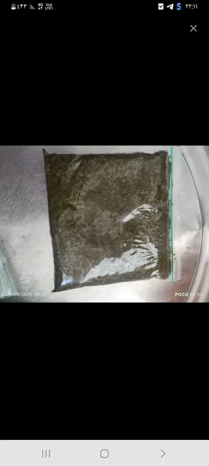 سبزی خورشتی سرخ شده|خوردنی و آشامیدنی|قم, شاه سید علی|دیوار