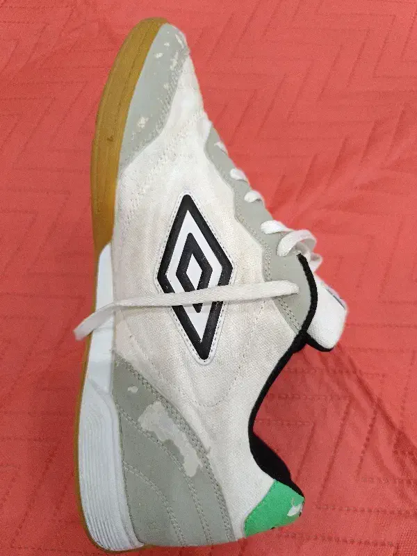 کفش سالنی|کیف، کفش، کمربند|شوشتر, |دیوار