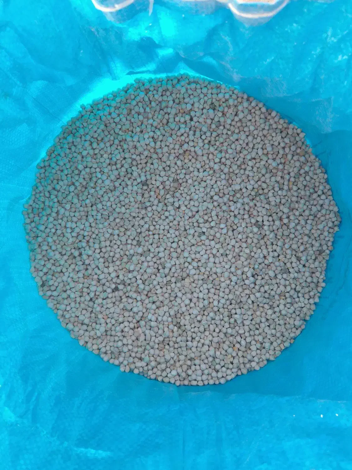 نخود|خوردنی و آشامیدنی|باغ صفا, |دیوار