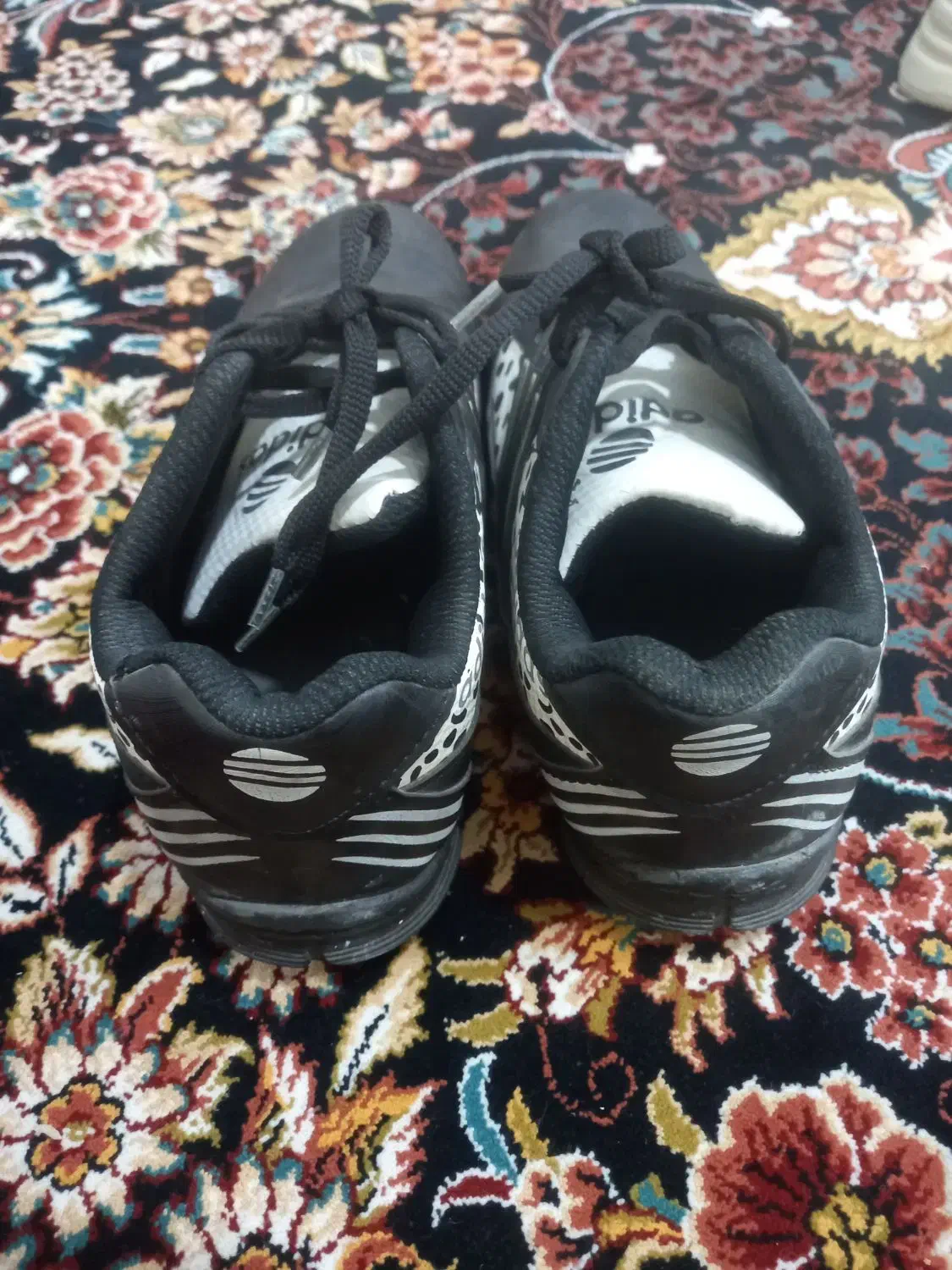 کفش|کیف، کفش، کمربند|سبزوار, طبرسی (جعفرآباد)|دیوار