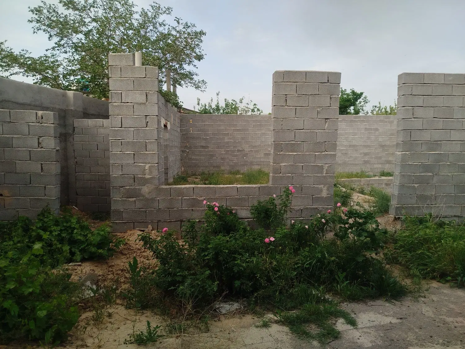تصویر 9
