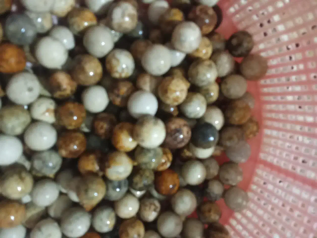 مهره یاسنگ|بدلیجات|مرودشت, استادیوم|دیوار