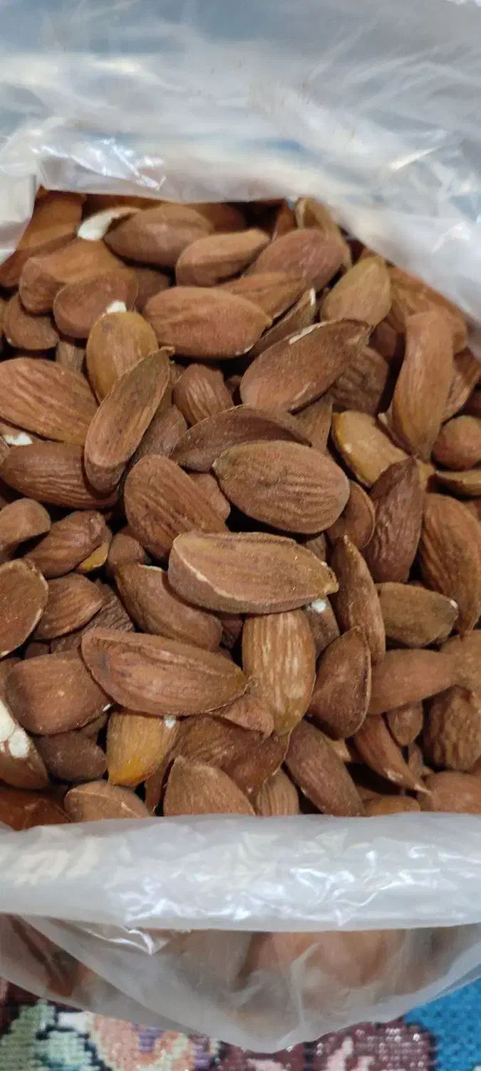 پسته،مویز گوشتی اعلا شارژ شد شب یلدایی|خوردنی و آشامیدنی|قم, نخودی|دیوار