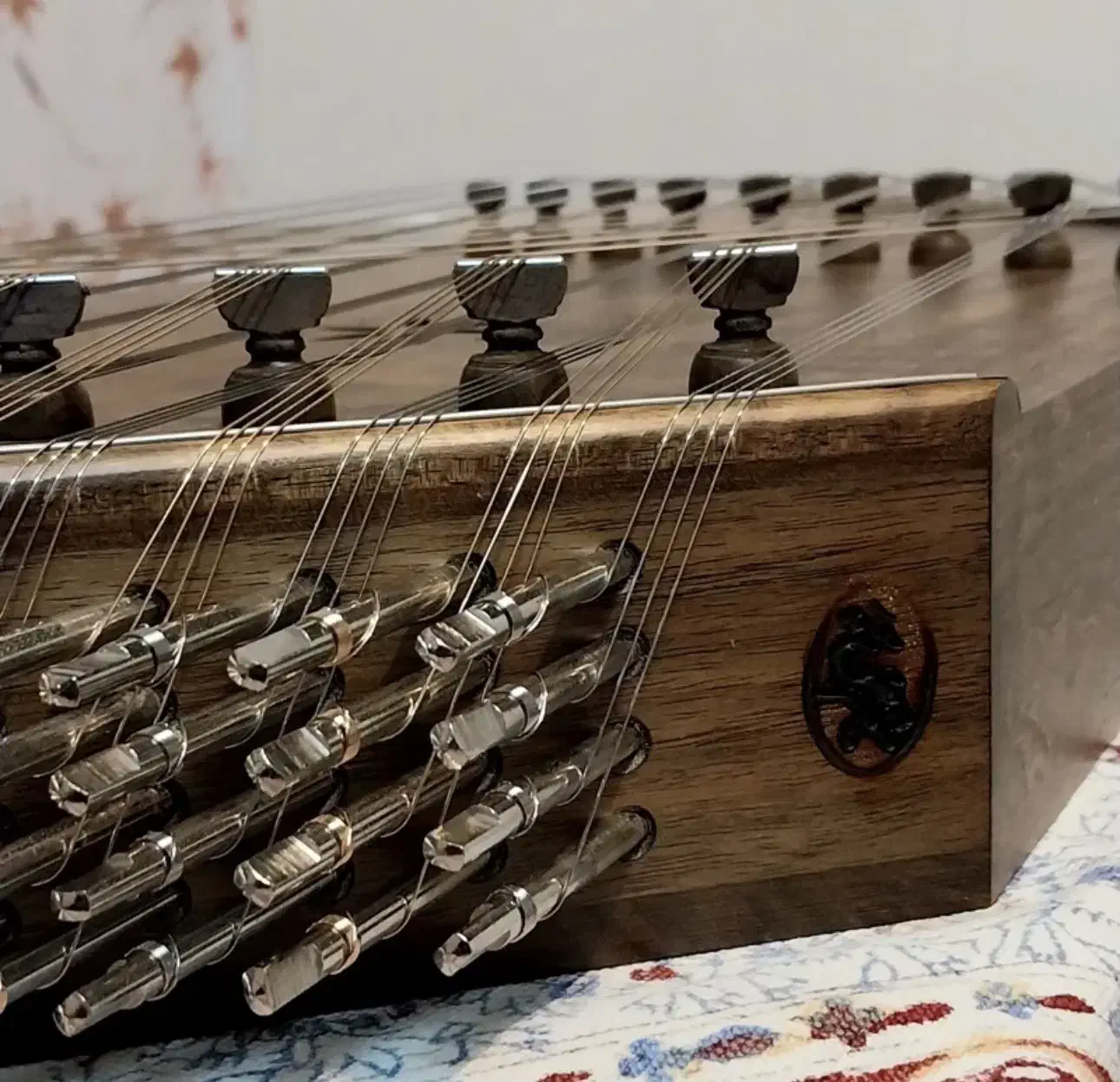 سنتور حرفه ای ( میثم علیپور )|سازهای سنتی|تهران, صادقیه|دیوار