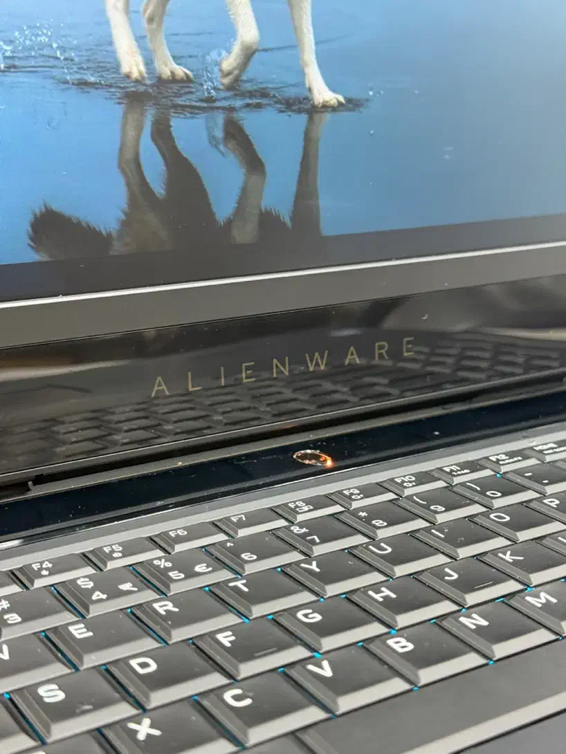 لپتاپ Alienware مخصوص گیمرها 6 گیگ گرافیک|رایانه همراه|اهواز, طالقانی|دیوار
