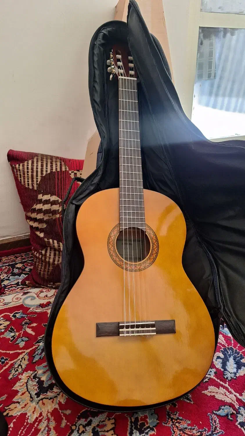 گیتار|گیتار، بیس، امپلیفایر|شیراز, دلجو|دیوار