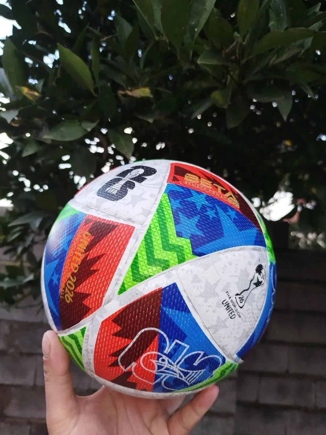 ورزشی|ورزش‌های توپی|سنگر, |دیوار