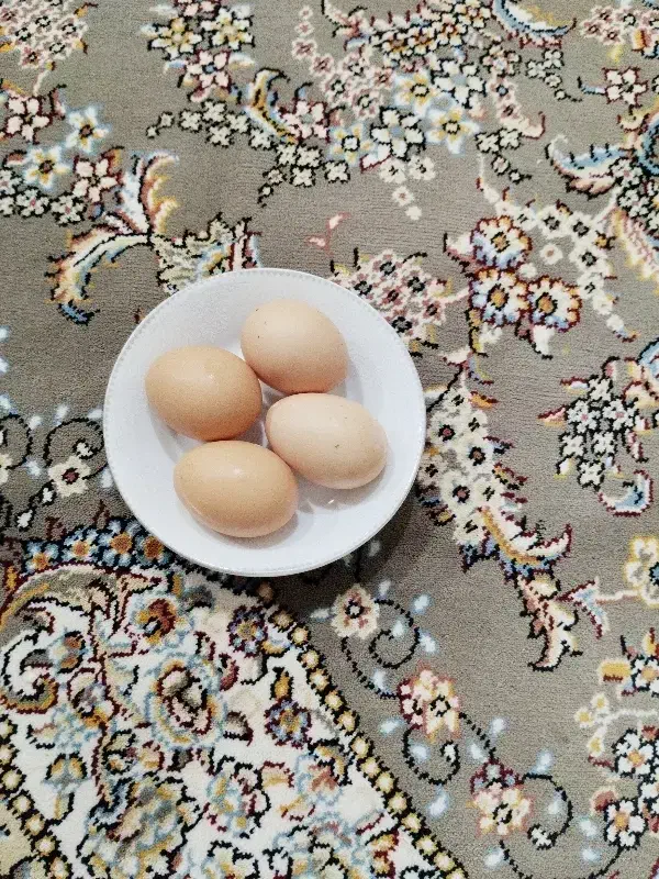 تخم مرغ محلی|خوردنی و آشامیدنی|زیویه, |دیوار