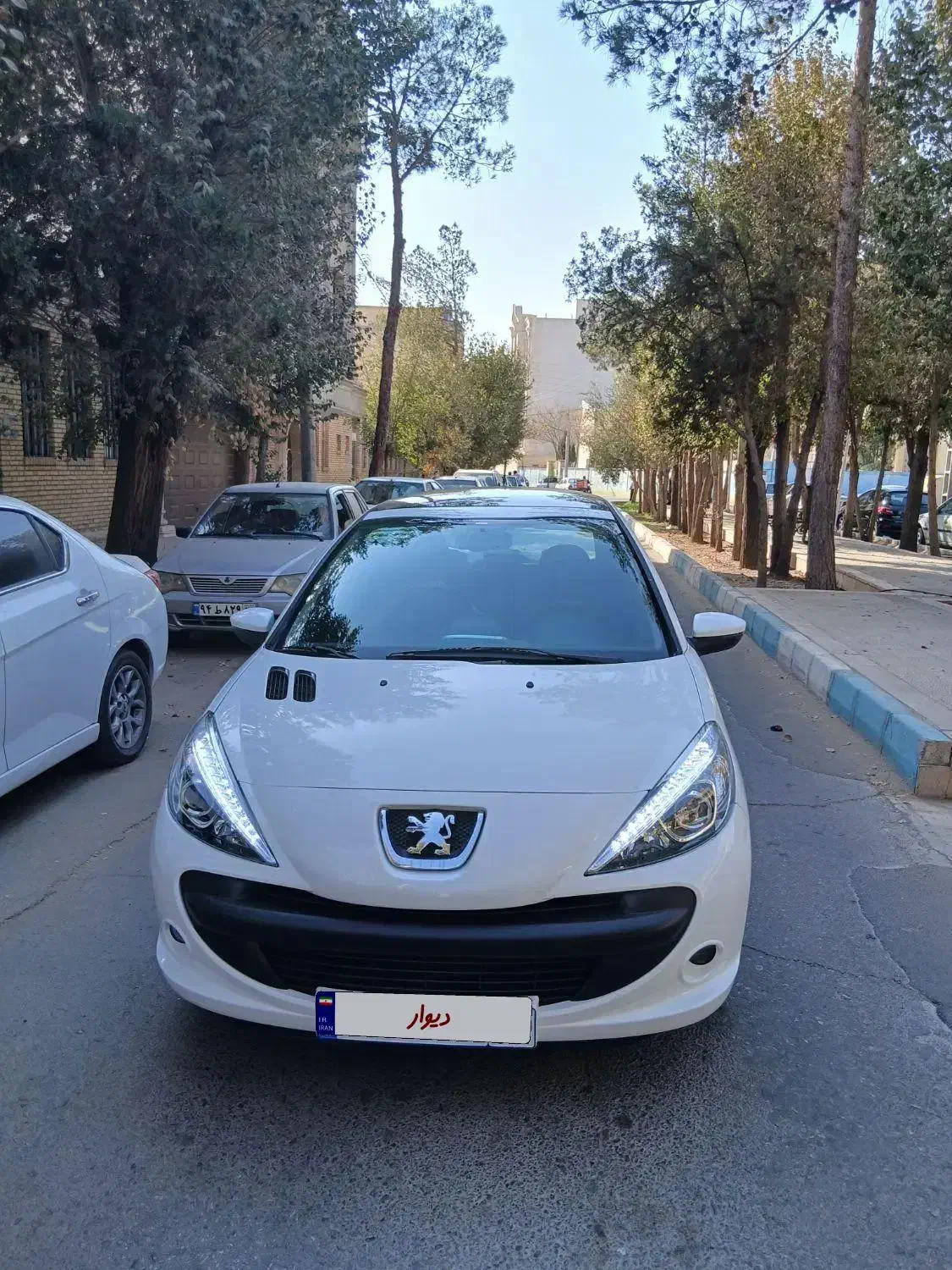 ۲۰۷|خودرو سواری و وانت|یزد, |دیوار