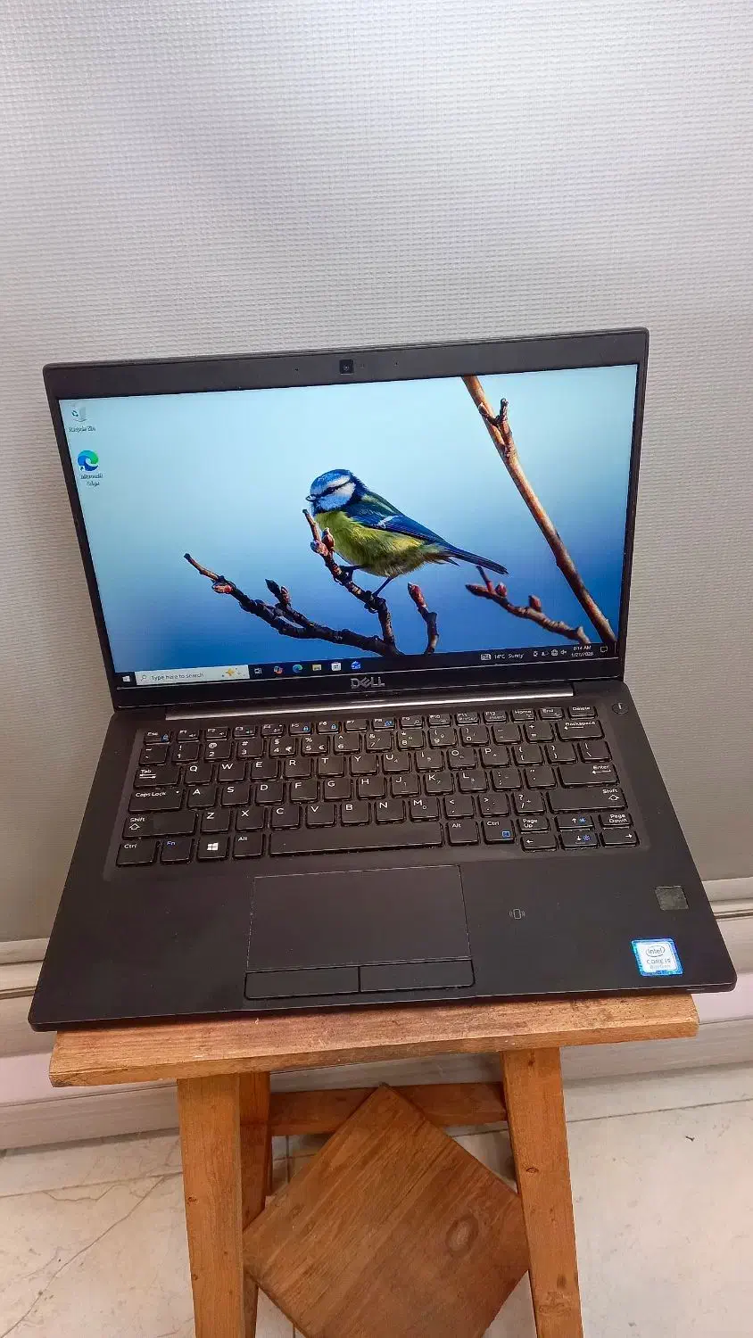 لپتاپ دل آمریکایی|رایانه همراه|کرج, فاز ۴ مهرشهر|دیوار