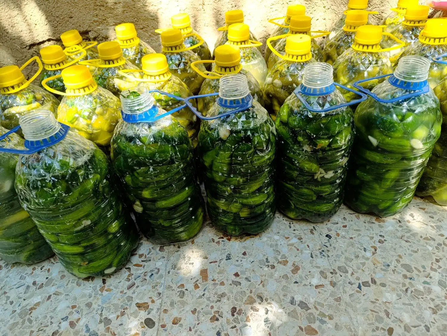 خیارشور|خوردنی و آشامیدنی|سردرود, |دیوار
