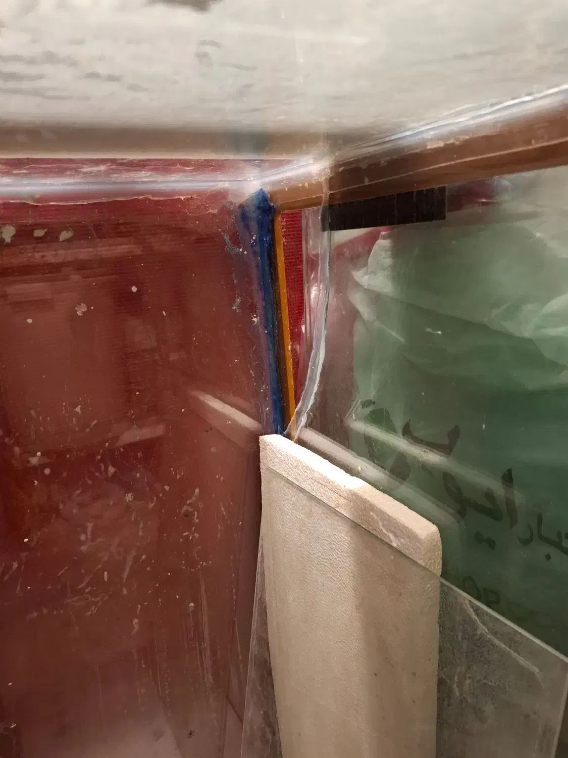 آکواریوم شیشه خم|ماهی|چالوس, |دیوار