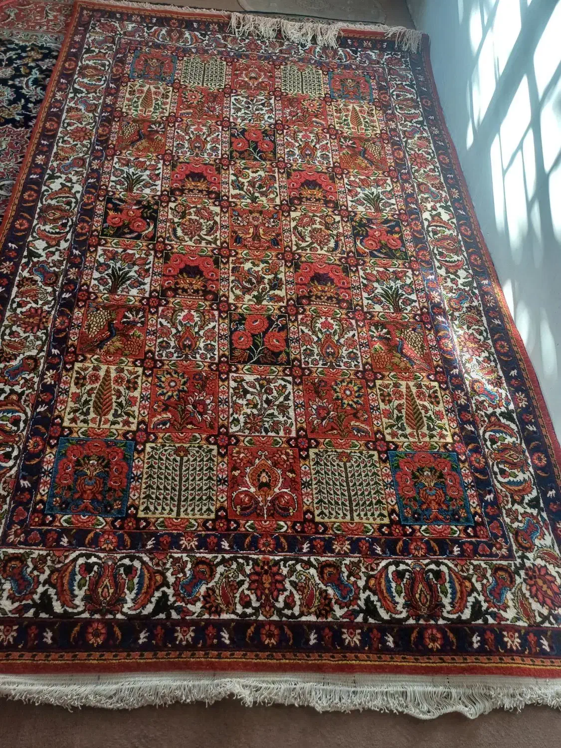 قالی|فرش|سامان, |دیوار