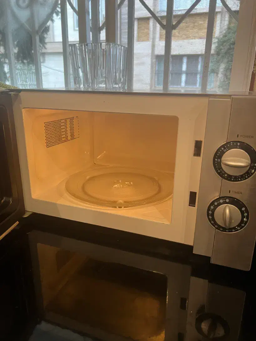 ماکروفر|اجاق گاز و لوازم برقی پخت‌وپز|رشت, کاکتوس|دیوار