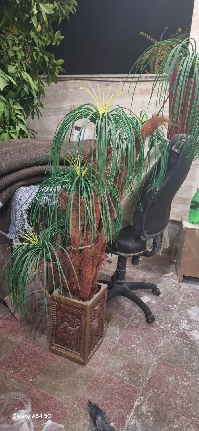 گل نخل بزرگ|گل مصنوعی|شیراز, شهرک مدرس|دیوار